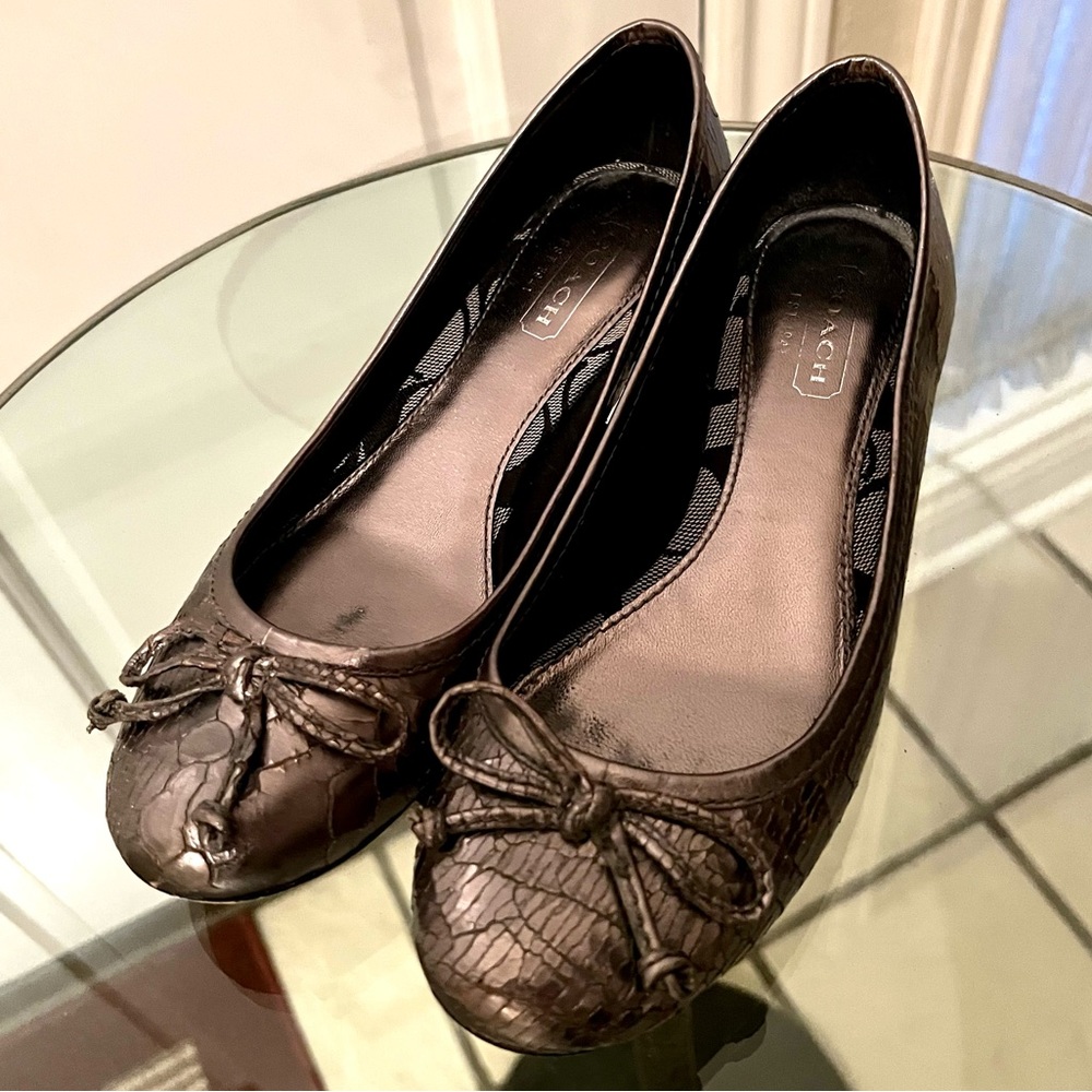Beautiful Coach Silver Leather Ballet Pumps